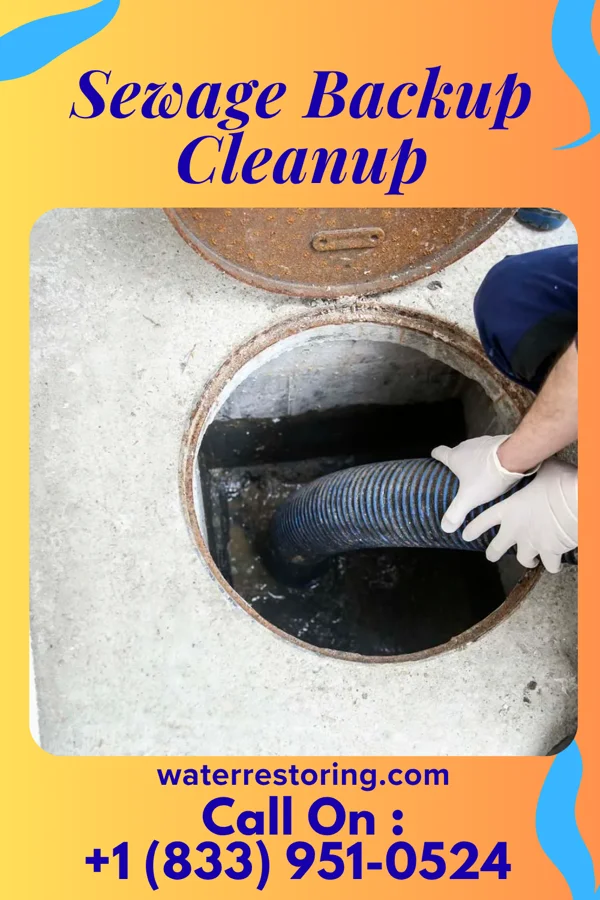 Sewage Backup Cleanup in Conover, NC